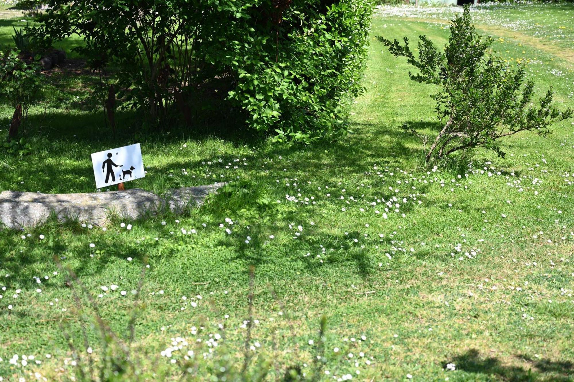 La Demeure Du Perron Hotel Quettehou Buitenkant foto
